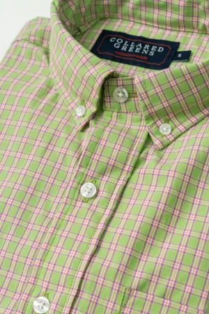 Cary: Brookline Button Down - Green/Violet