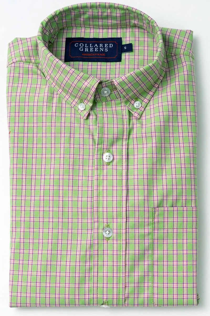 Cary: Brookline Button Down - Green/Violet